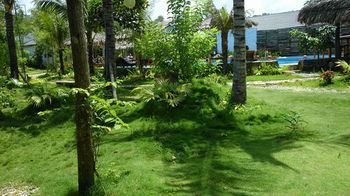 Palm Hill Resort